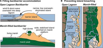 Leveraging the Interdependencies Between <mark class="highlighted">Barrier Islands</mark> and Backbarrier Saltmarshes to Enhance Resilience to Sea-Level Rise